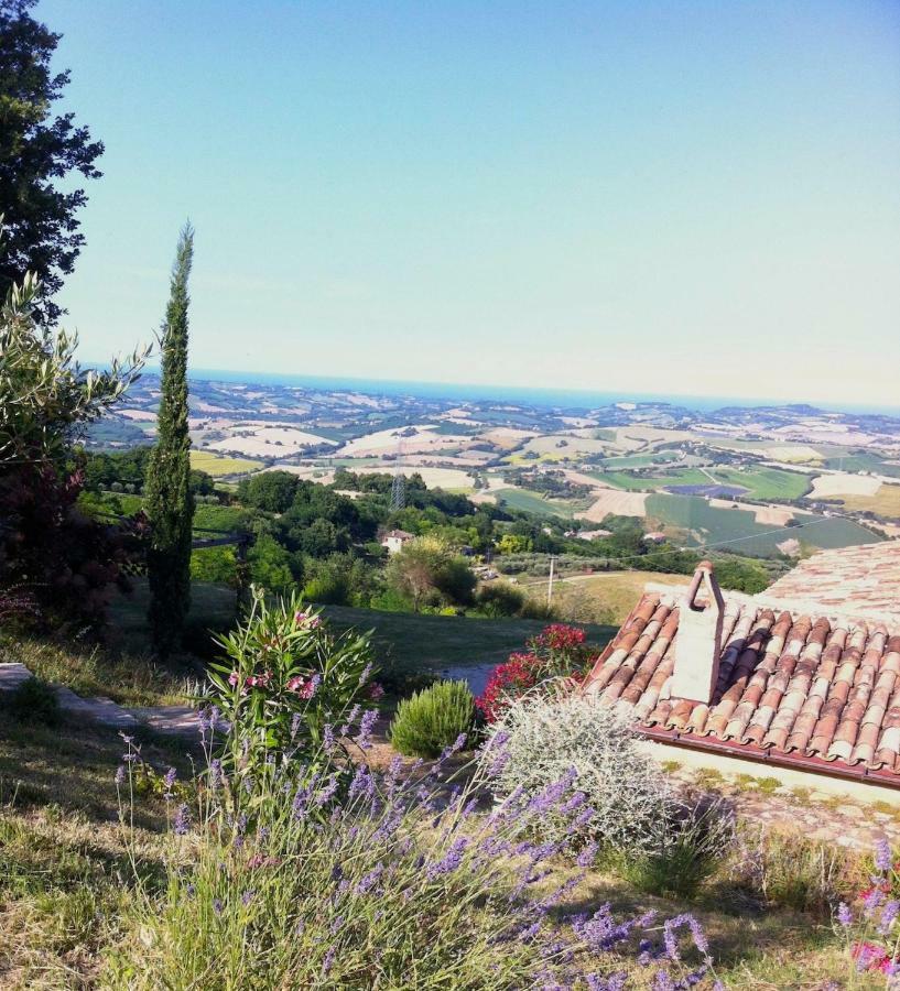 L'Infinito Bed & Breakfast Mombaroccio ภายนอก รูปภาพ